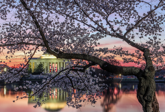 Jefferson Memorial - Washington, DC
